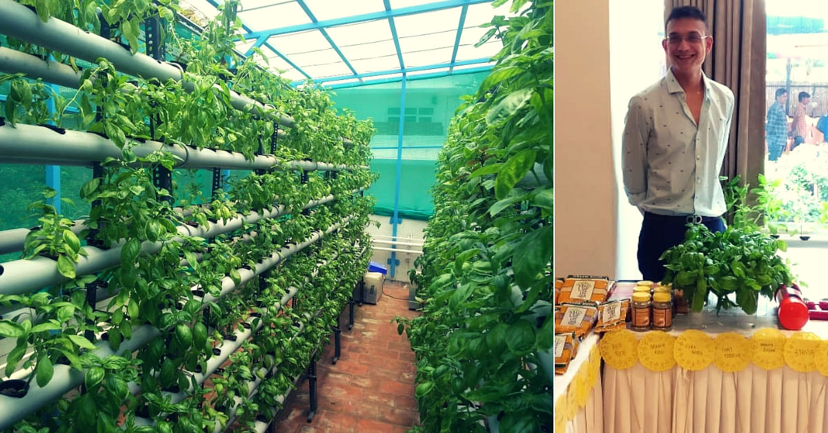 Hydroponics Chennai Man Grows 6 000 Plants In 80 Sq Ft Space
